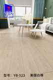 YB-523 美国白橡