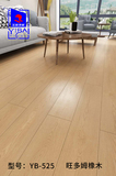 YB-525 旺多姆橡木